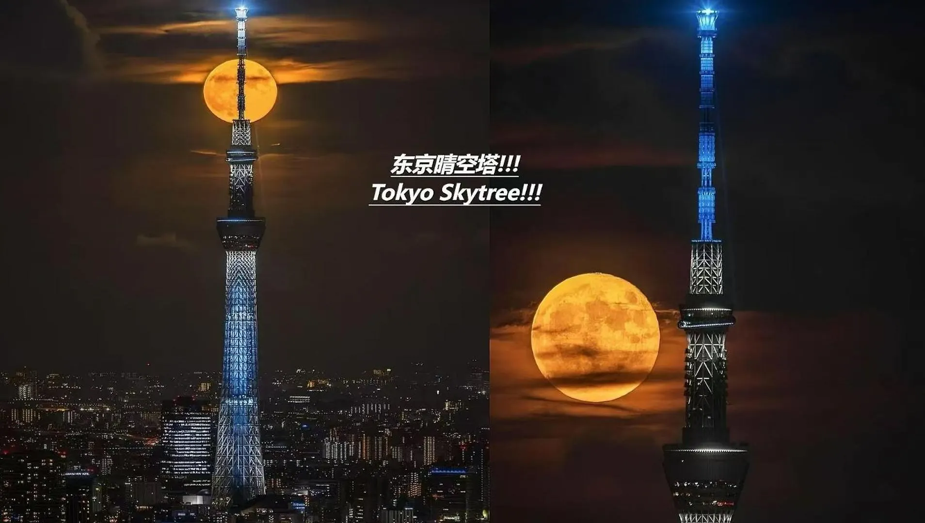 桜の川25 Minowa Villa To Ueno 3 Mins Akihabara 5Mins Tokyo